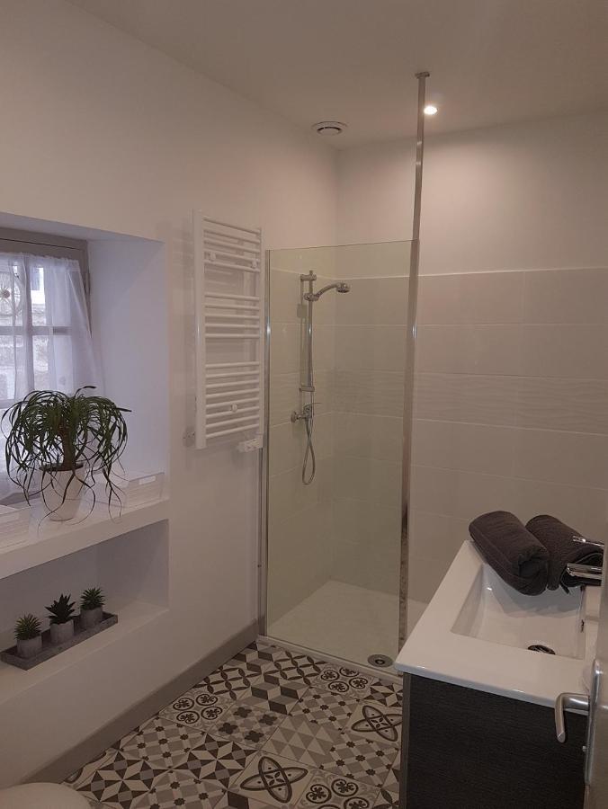 Chez Alice Appartement En Plein Centre Ville Сарла-ла-Канеда Екстер'єр фото